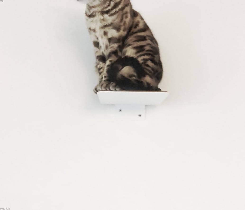 Test_PJqWsKktEv